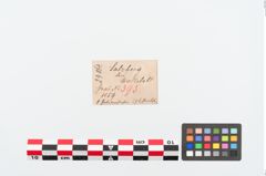 Etikett zu Perlenkette (NHMW-PRAE-024864)